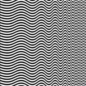 Meet your Posher, Noah